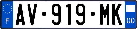AV-919-MK