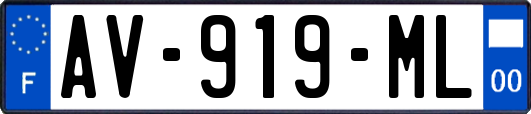 AV-919-ML