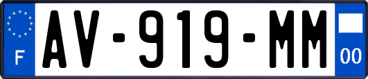 AV-919-MM