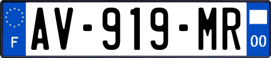 AV-919-MR