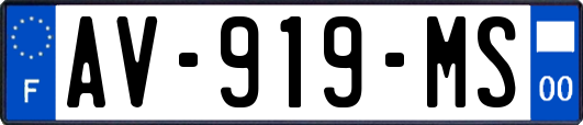 AV-919-MS