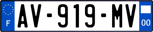 AV-919-MV