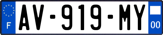 AV-919-MY
