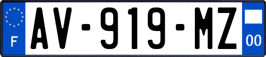 AV-919-MZ