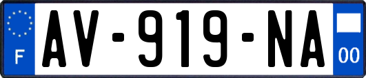AV-919-NA