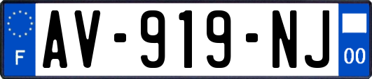AV-919-NJ