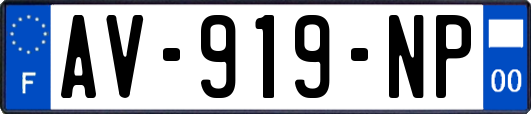 AV-919-NP
