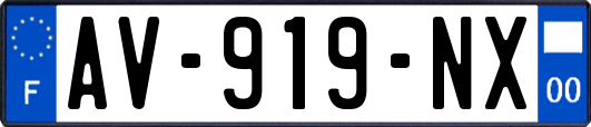 AV-919-NX