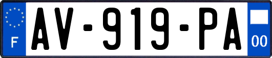 AV-919-PA
