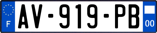 AV-919-PB