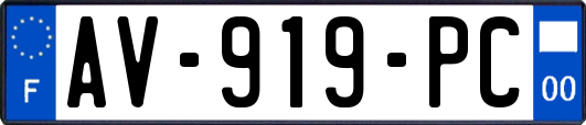 AV-919-PC