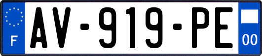 AV-919-PE