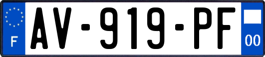 AV-919-PF