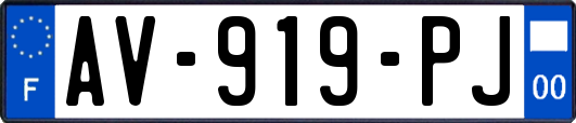 AV-919-PJ