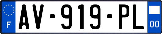 AV-919-PL