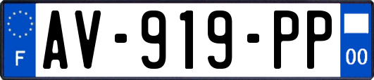 AV-919-PP