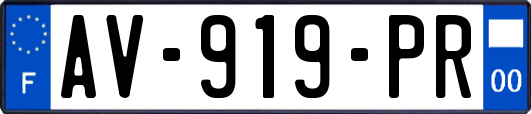 AV-919-PR
