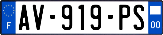 AV-919-PS