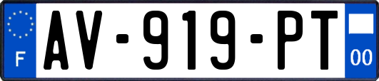 AV-919-PT