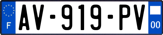 AV-919-PV