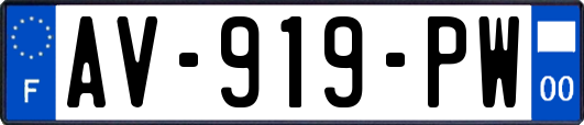 AV-919-PW