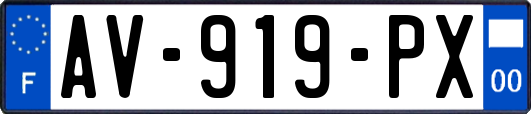 AV-919-PX