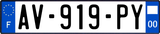 AV-919-PY