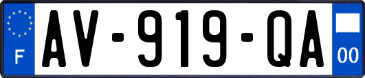 AV-919-QA