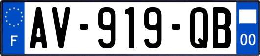 AV-919-QB