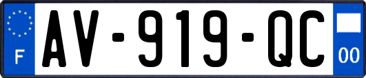 AV-919-QC