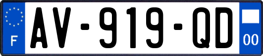AV-919-QD