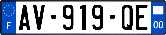 AV-919-QE