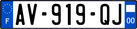 AV-919-QJ
