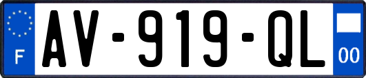 AV-919-QL