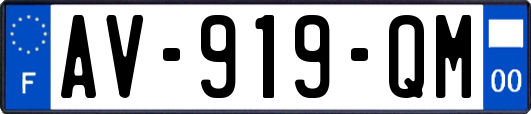 AV-919-QM