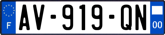 AV-919-QN
