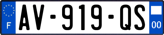 AV-919-QS