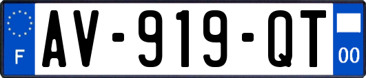 AV-919-QT