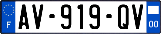 AV-919-QV