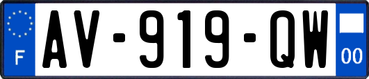 AV-919-QW
