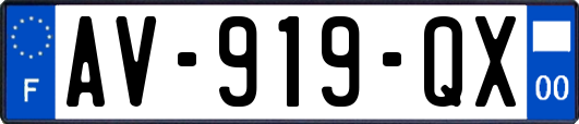 AV-919-QX