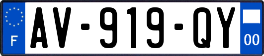 AV-919-QY