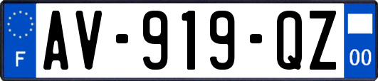 AV-919-QZ