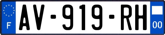 AV-919-RH