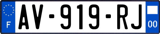AV-919-RJ