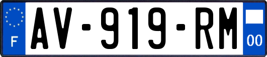 AV-919-RM