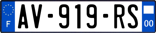 AV-919-RS