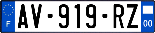 AV-919-RZ