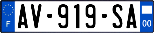 AV-919-SA