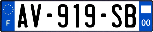 AV-919-SB